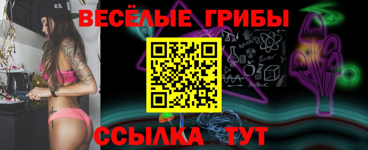 Псилоцибиновые грибы Psilocybine cubensis  Галлюциногенные грибы GOLDEN TEACHER  Нижний Тагил  Вход с VPN 