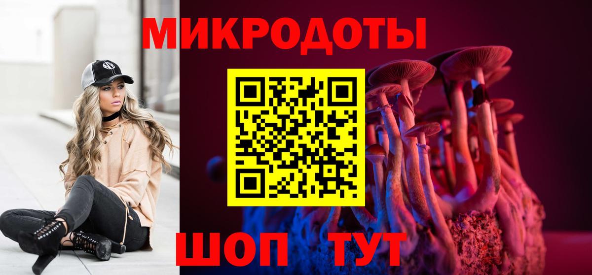 Псилоцибиновые грибы Psilocybe Нижний Тагил